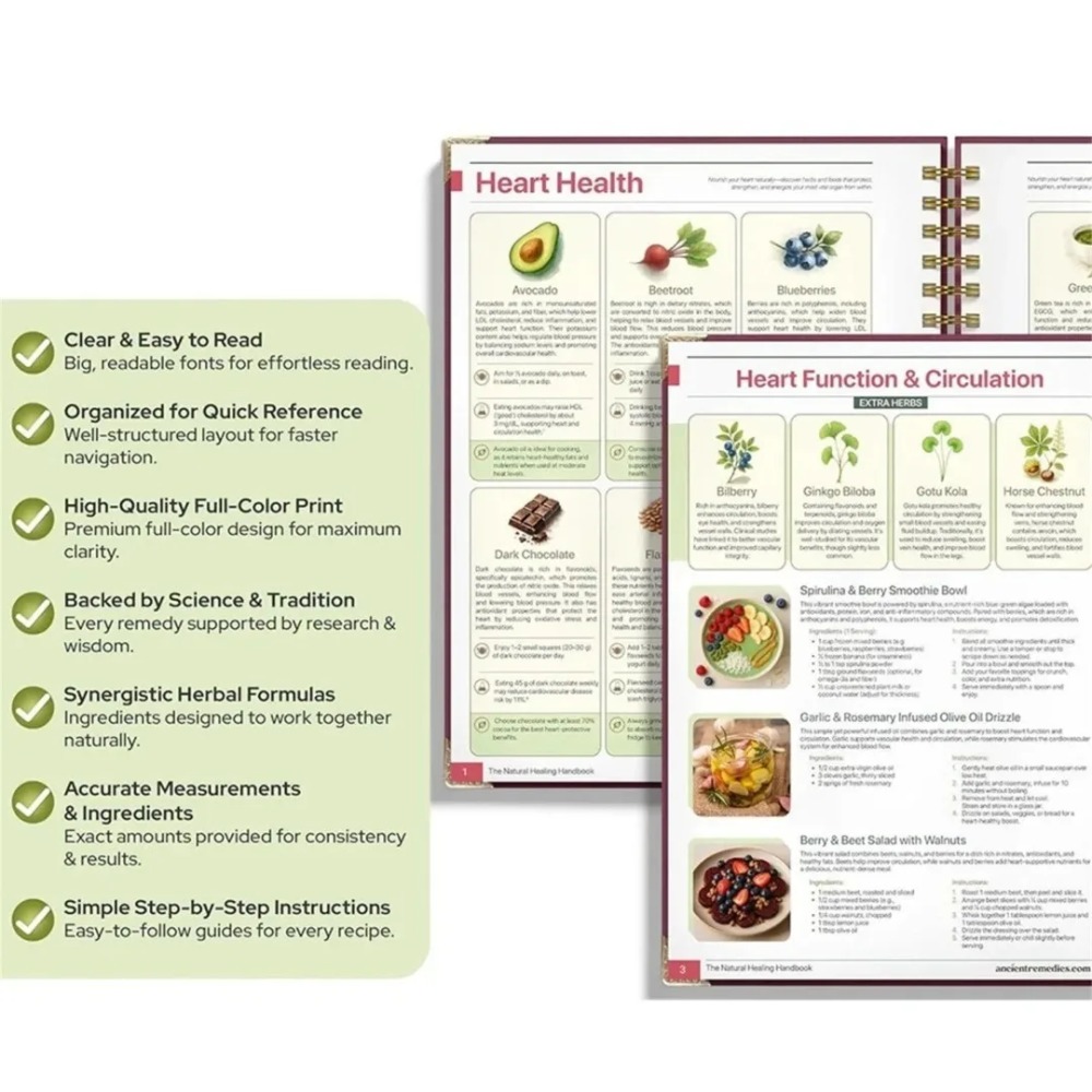 Handbuch zur natürlichen Heilu – Holistic Health & Wellness Bewertung und Preis