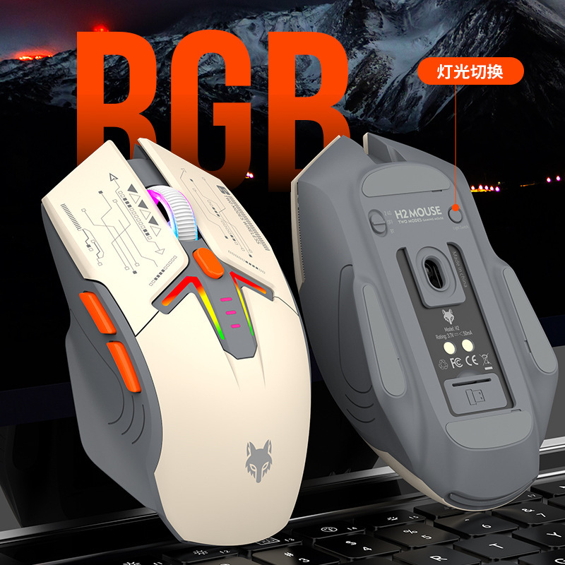 H2 Aufladbare RGB-Leuchtmaus B – Fitness Journal Planner Bewertung und Preis