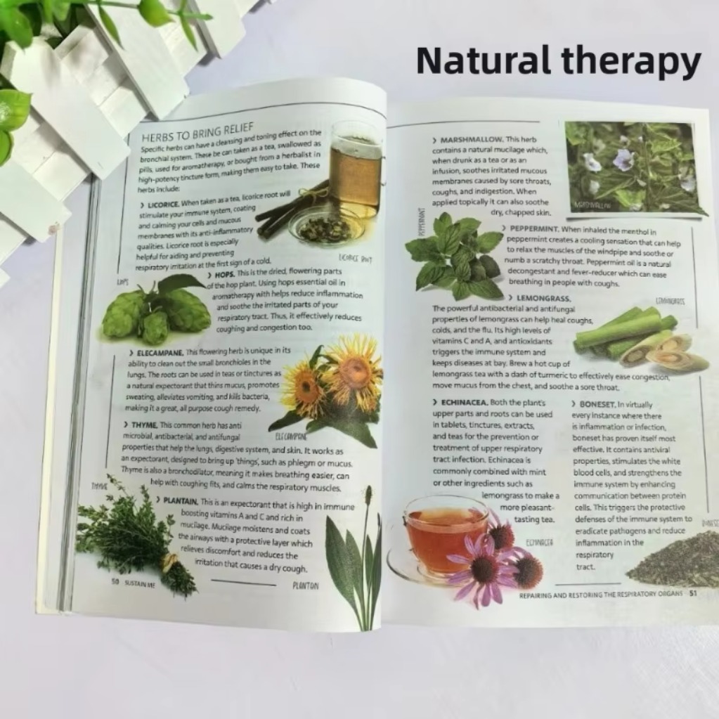 Sustain Me Barbara O'Neill Ein – Holistic Health & Wellness Bewertung und Preis
