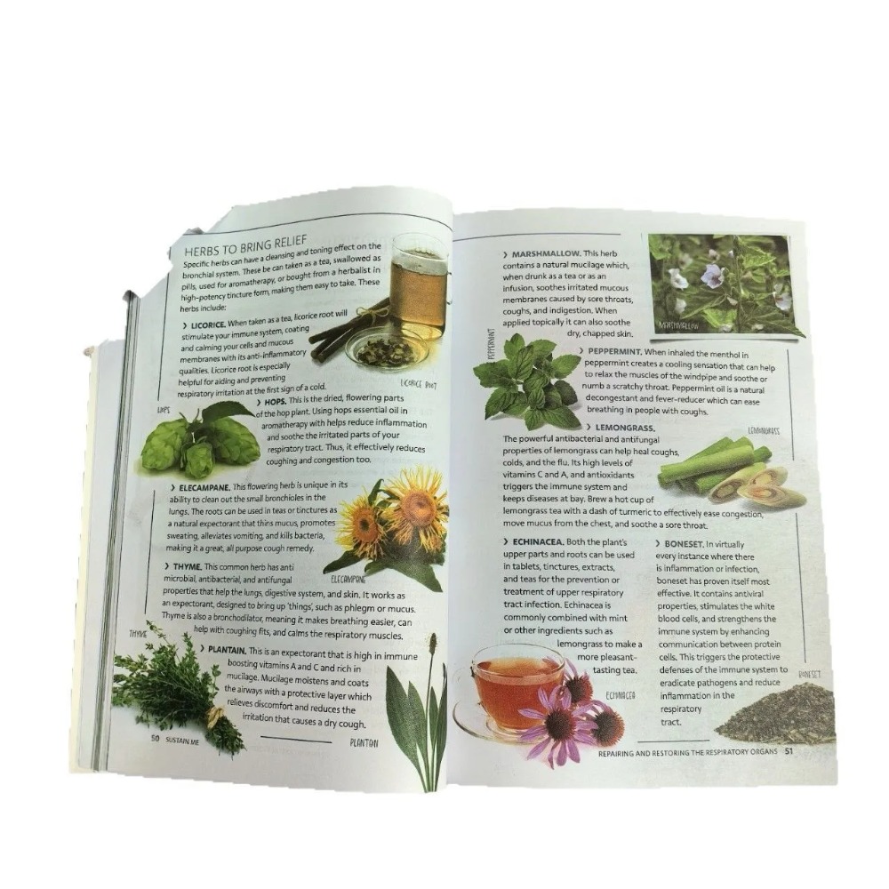 Sustain Me Englische Taschenbu – Holistic Health & Wellness Bewertung und Preis