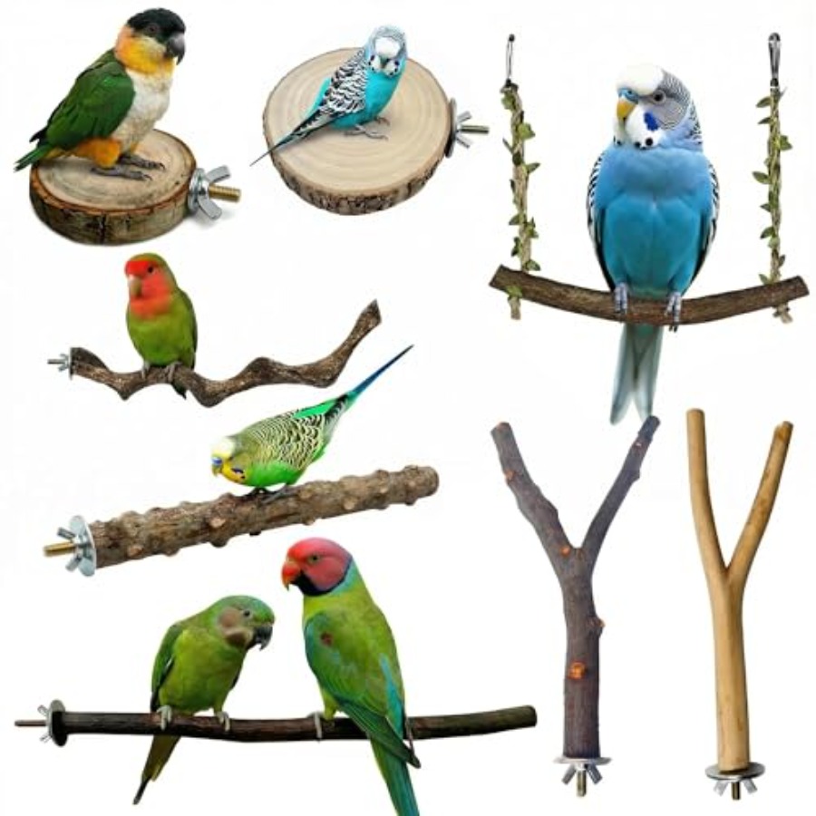 8 Stück Vogelsitzstangen aus N – Health & Wellness Retailers Bewertung und Preis