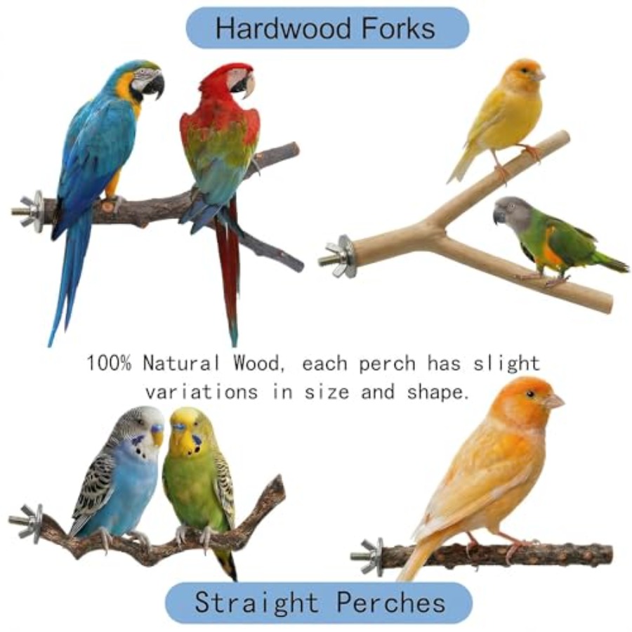 8 Stück Vogelsitzstangen aus N – Health & Wellness Retailers Bewertung und Preis