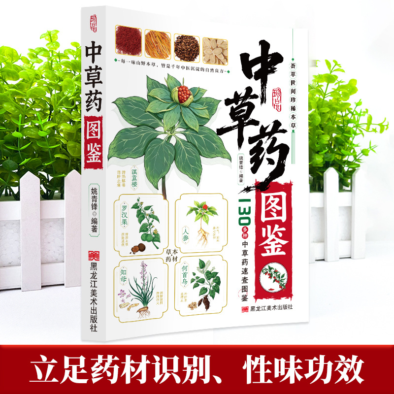 Illustrierter Leitfaden Chines – Holistic Health & Wellness Bewertung und Preis