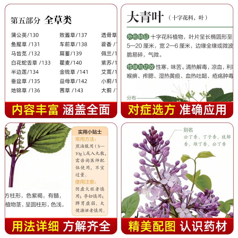 Illustrierter Leitfaden Chines – Holistic Health & Wellness Bewertung und Preis