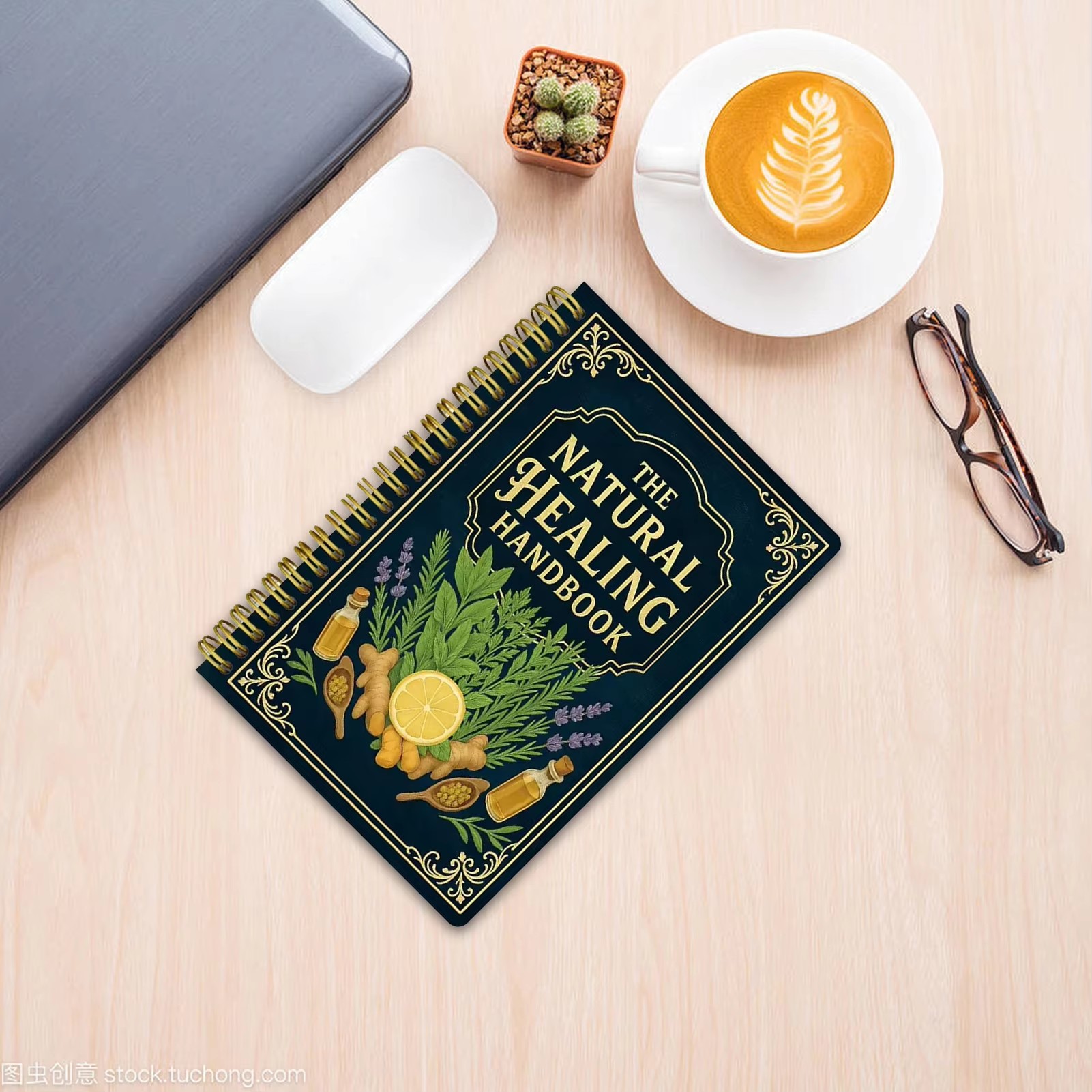 Handbuch zur natürlichen Heilu – Holistic Health & Wellness Bewertung und Preis